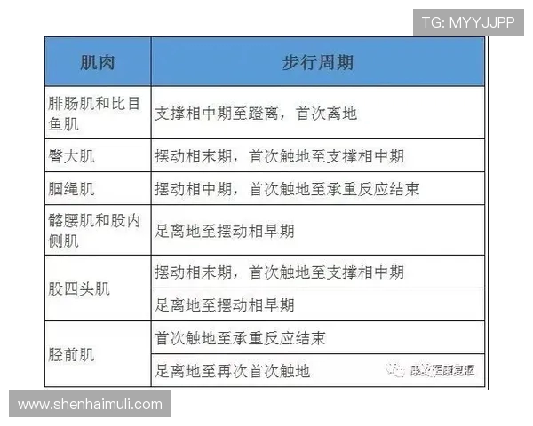 深圳极限运动队包夹策略分析与成效评估探讨